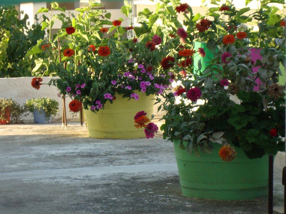 Lefka Hotel Kolymbari Exterior photo