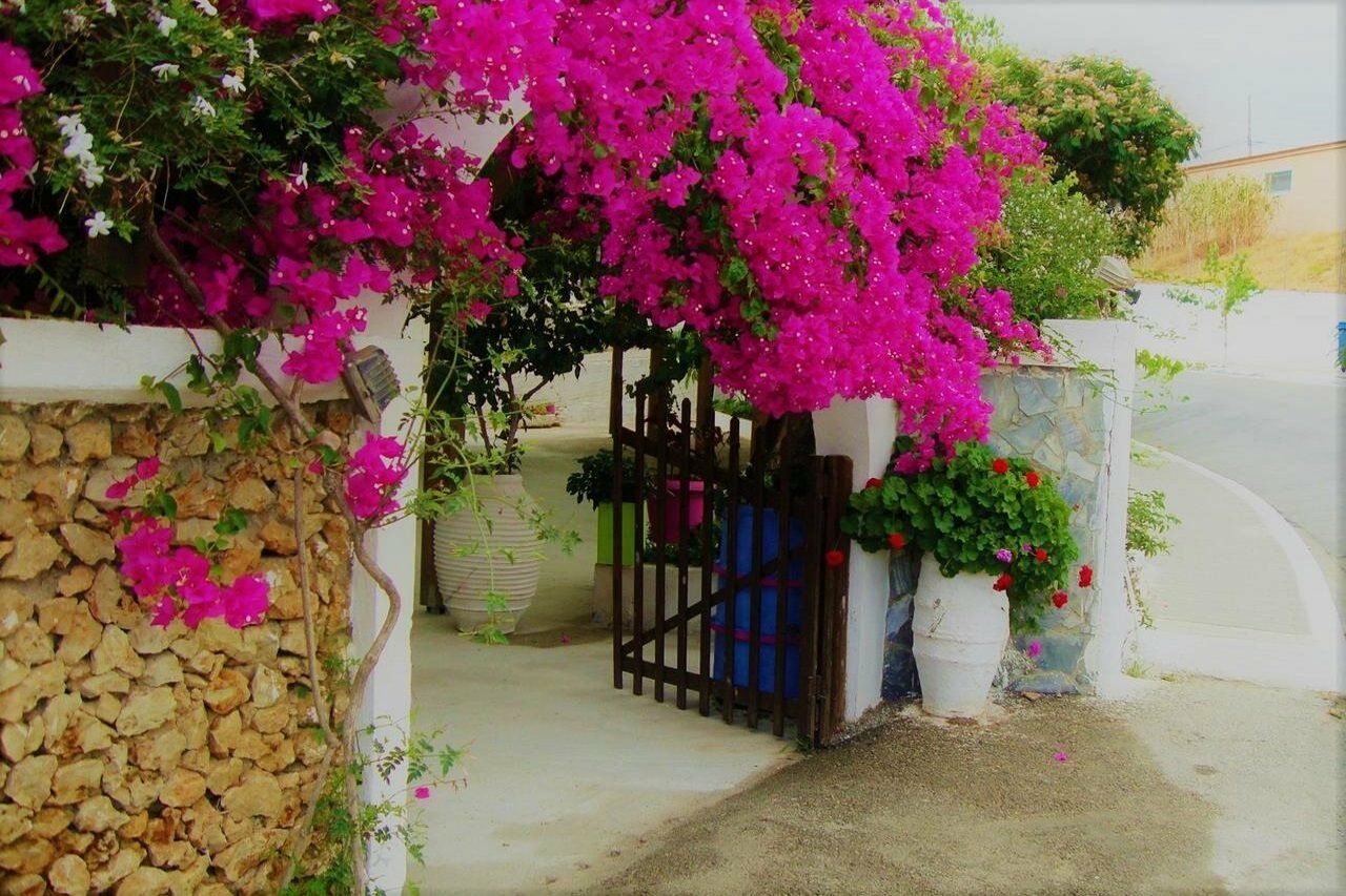 Lefka Hotel Kolymbari Exterior photo